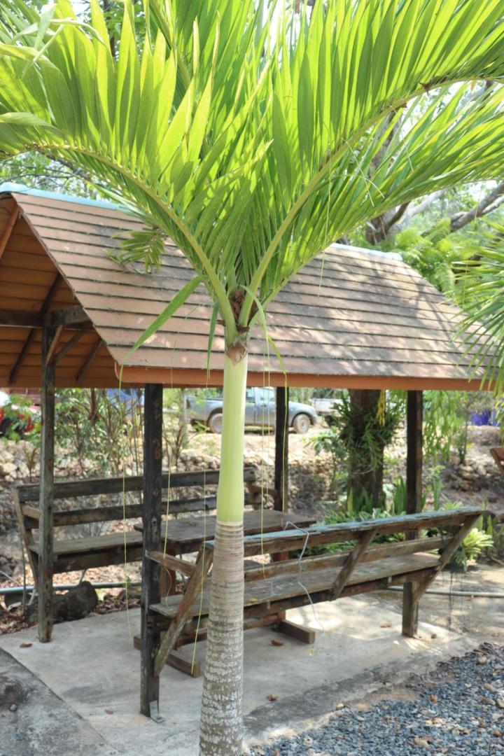 Baanrimklong Bungalow Ко-Чанг Номер фото